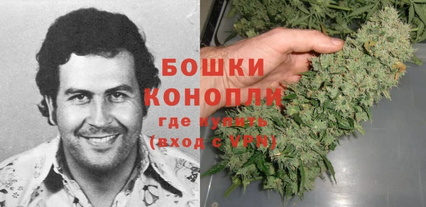 прущие грибы Костерёво