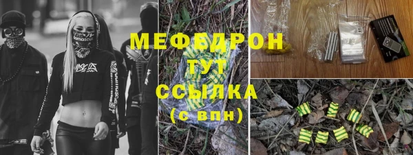 прущие грибы Костерёво