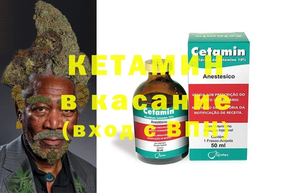 прущие грибы Костерёво
