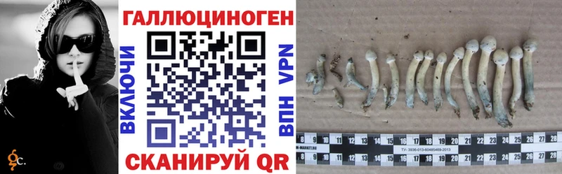 Галлюциногенные грибы прущие грибы  Купить  Апшеронск 